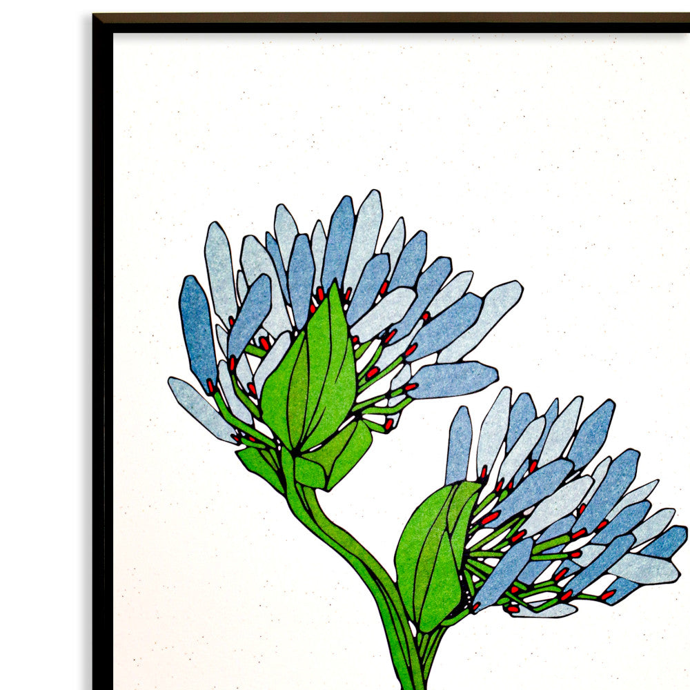 Fog blue flower No.175